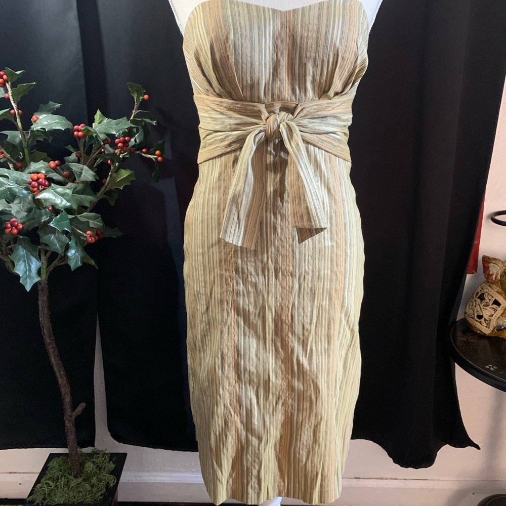 Lyndia 6 Tube Top Earth Tone Striped Dress